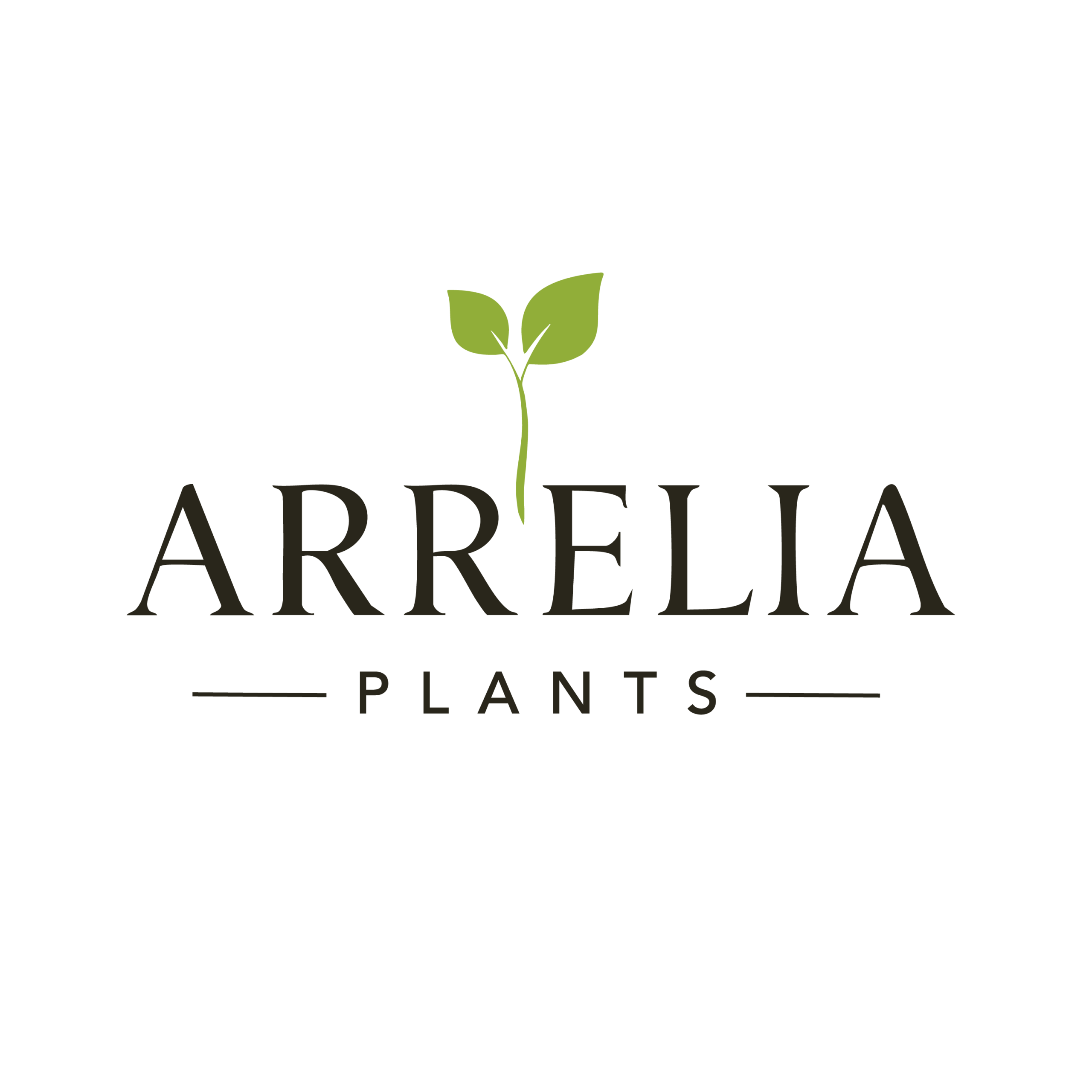 Arrelia Plants-Planter de qualitat per a professionals i particulars