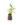Arbutives_10