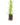 Aromatiques_26