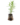 Aromatiques_27