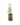 Aromatiques_29