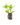 Aromatiques_3