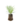 Aromatiques_31