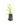 Aromatiques_32
