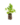 Aromatiques_8