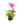 Enfiladisses_2