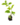 Enfiladisses_4