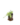 Entrapissants_2