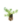 Entrapissants_4