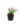 Entrapissants_5