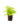 Falguera_13
