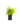 Falguera_14