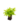 Falguera_16