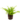 Falguera_2